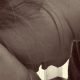 Que-hacer-en-caso-de-bullying
