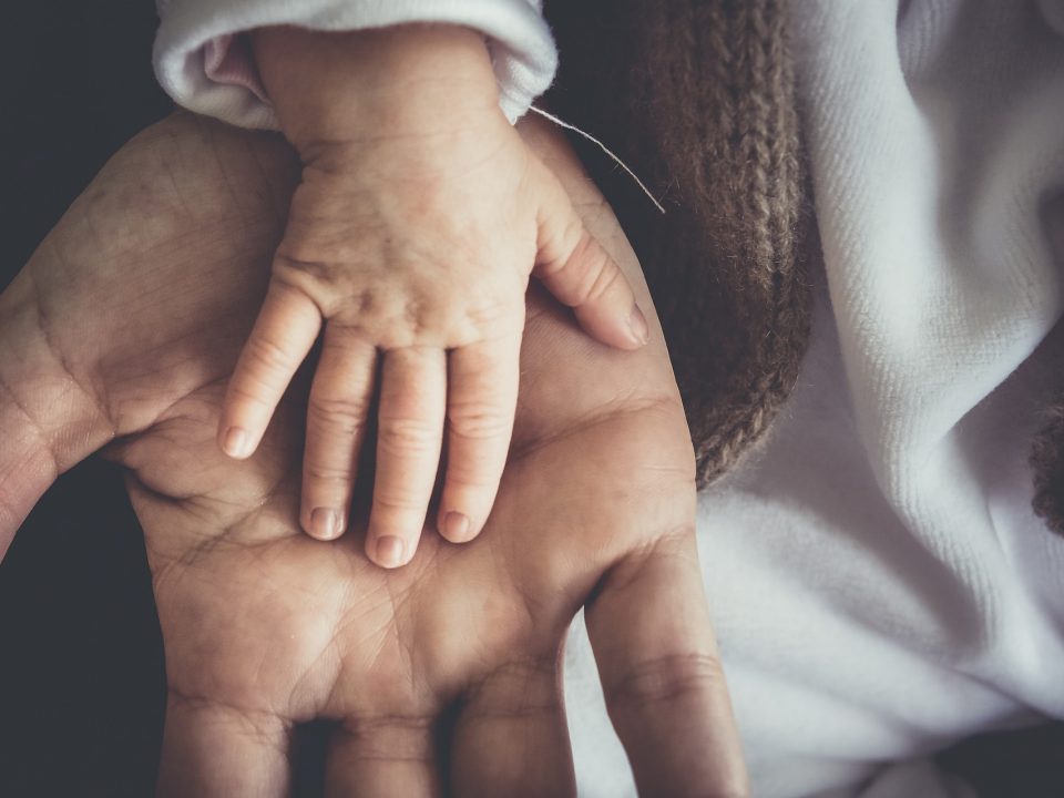 Donaciones en vida a favor de herederos