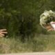 Separación de bienes en el matrimonio